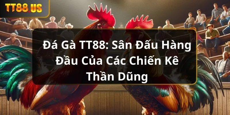 da-ga-tt88-san-dau-hang-dau-cua-cac-chien-ke-than-dung_2_11zon