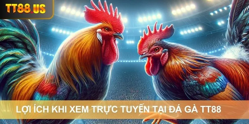 Lợi ích khi xem trực tuyến tại đá gà TT88  