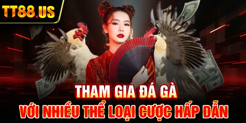 Tham gia đá gà với nhiều thể loại cược hấp dẫn